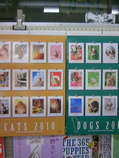 村松誠の猫・犬カレンダー 入荷