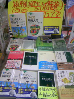 植物たちが魅せるふしぎな世界